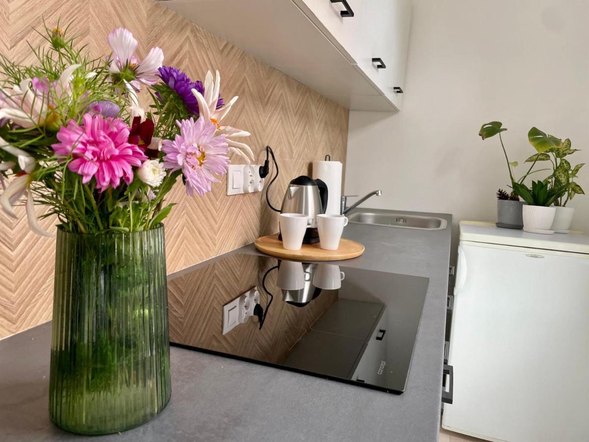 Studio Bielawa U Podnoza Gor Sowich 외부 사진